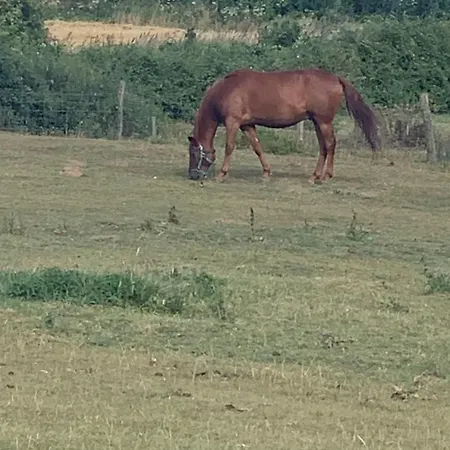 Leur Tiot Coin Tranquille *