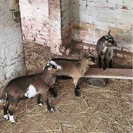 Leur Tiot Coin Tranquille